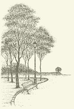 Park Bench Under The Trees. Vector Drawing