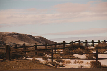 Wall Mural - Fence Lines