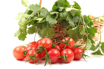 Coriander and tomatoes on white background