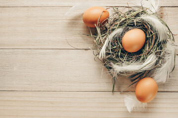 Wall Mural - Natural easter colour eggs in basket with spring tulips, white feathers on wooden table background in Happy Easter decoration. Spring holiday top view concept.