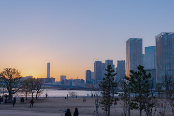 Poster - 東京都江東区豊洲の夕方の都市景観