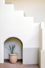 Wall Mural - white wall and plant