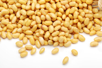 Sticker - soybean isolated on white background