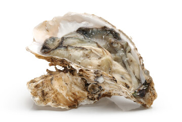 Poster - Fresh opened oyster on white background