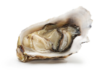 Wall Mural - Fresh opened oyster on white background