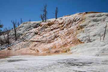 Wall Mural - Mammoth Hot Springs landscape, Yellowstone National Park Wyoming hot springs.