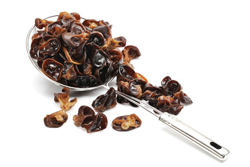 Poster - black fungus on white background 