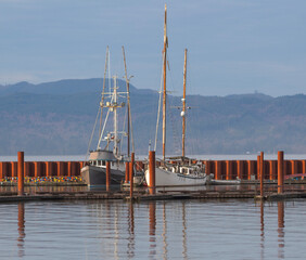 boats in the harbor