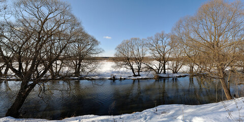 Sticker - Spring walk through the forest, beautiful panorama.