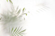 © yavdat - palm leaves shadow effect. blurred picture with fog effect of palm leaves silhouettes behind. selective focus