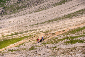 Wall Mural - mountaineers at a path in high mountain