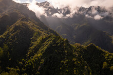 Spectacular View Of Subtropical Mountainous Forest