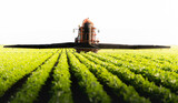 Fototapeta Panele - Tractor spraying soy field in sunset.
