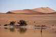 Water at sossusvlei with trees and dunes in the background