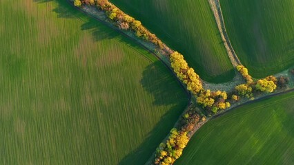 Canvas Print - Gorgeous footage of a green undulating field of agricultural land. Filmed in UHD 4k video.