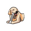 Golder retriever chewing bone color line icon. Pictogram for web page