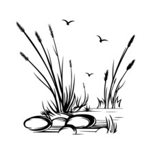 Hand-drawn Vector Drawing In Black Outline Steppe Pampas Grass Wild Reeds