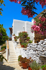 Wall Mural - One of the charms of the Greek islands of the Cyclades (here, the island of Tinos), in the heart of the Aegean Sea, are the narrow streets: white houses, small flowered balconies and cobbled stairs