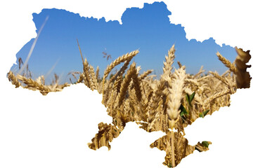 vector illustration in the colors of the ukrainian flag.map of ukraine in the form of a field with w