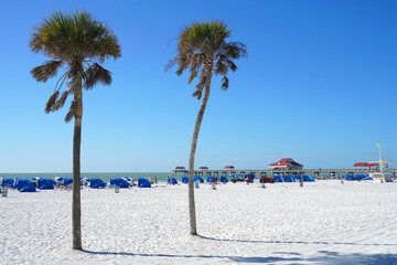 Wall Mural -  landscape of beach view with palm tree