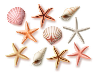 Wall Mural - Summer seashells vector set. Beach sea shells collection and assorted aquatic objects isolated in white background for design elements. Vector illustration. 
