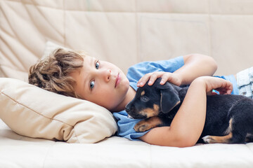 Wall Mural - A boy with a little dog playing at home