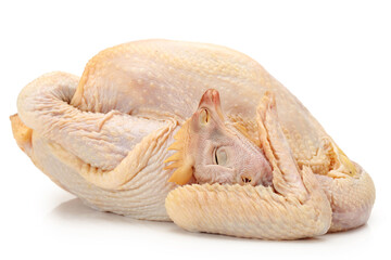 Wall Mural - raw hen on a white background