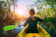 Woman Sailing Kayak In Mangrove Forest Against Beautiful Sun Light