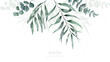 Watercolor eucalyptus background template on top vector design