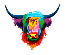 Abstract Highland Cow Head Portrait, Scottish Highland Cow From Multicolored Paints. Colored Drawing. Vector Illustration Of Paints