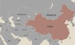 Chinese on world map. Chinese colored differently from other countries. Vector map design