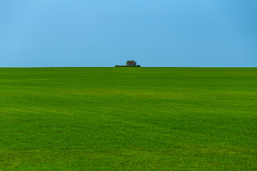 Landscape of open field. Blue and green colours.