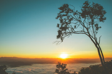 Wall Mural - sunrise time with sea of fog and clouds with mountain hill at sri nan national park doi samer dao na
