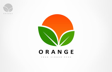 orange fruit and leaf logo vector