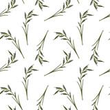 Fototapeta Sypialnia - seamless pattern with drawing plant of palmarosa , Cymbopogon martinii at white background, hand drawn illustration