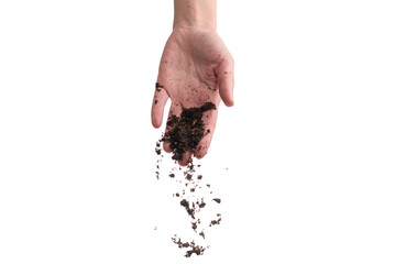 Brown soil in woman hands isolated on white.