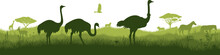 Vector Horizontal Seamless Tropical African Savannah With Ostrich Family, Zebra, Lions, Cheetah And Giraffe