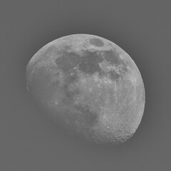 Wall Mural - The waning moon in the early morning in march