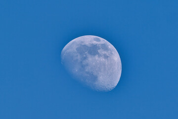 Wall Mural - The waning moon with blue sky in march