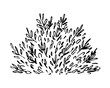 Simple black outline vector drawing. Lush bush isolated on white background. Sketch in ink. Garden plants, vegetation. Nature.