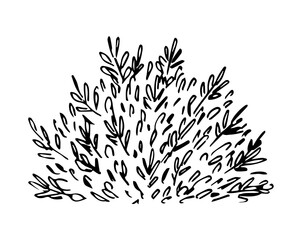 Simple black outline vector drawing. Lush bush isolated on white background. Sketch in ink. Garden plants, vegetation. Nature.