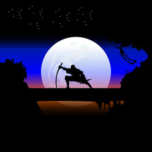 Ninja Assassin Silhouette In The Night, Wallpaper, Vector