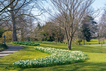 Canvas Print - Kölner Rheinpark im Frühling