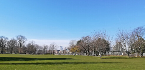 Canvas Print - Kölner Rheinpark im Frühling