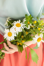 Woman's Hands Holding Bouquet Of Daisies With Orange Skirt And Blue Shirt.