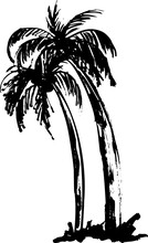 Two Grunge Palm Trees Silhouettes, Tropic Graphic Ink Illustration