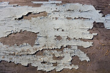 Poster - texture of an old brown wall from a wooden board with gray shabby paint