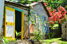 Salto El Limon, Dominican Republic - Traditional Colorful Cottage, House In Village