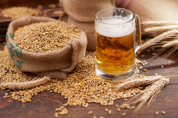 beer ingredients:barley near beer glass