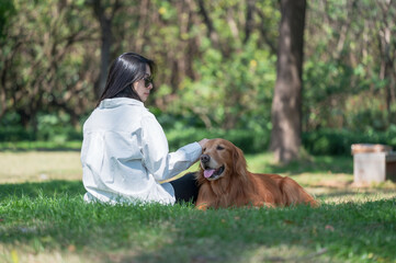 Wall Mural - Golden Retriever accompanies owner on grass in park